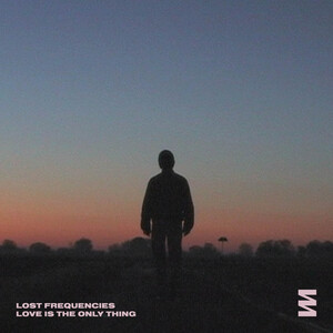 Lost Frequencies - Love Is the Only Thing - Lyrics and ratings - Rate